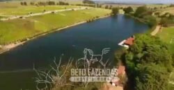 Fazenda à Venda 1.149 Hectares Pecuária Estrutura Completa | Vargem Grande do Sul/ SP