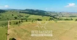 Fazenda à Venda 1.149 Hectares Pecuária Estrutura Completa | Vargem Grande do Sul/ SP