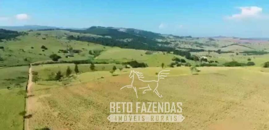 Fazenda à Venda 1.149 Hectares Pecuária Estrutura Completa | Vargem Grande do Sul/ SP
