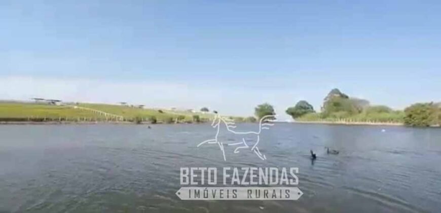 Fazenda à Venda 1.149 Hectares Pecuária Estrutura Completa | Vargem Grande do Sul/ SP