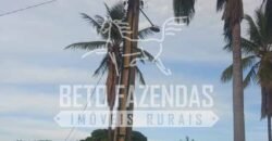 Extraordinária Fazenda 1200 hectares Lavoura, Pecuária e Eucalípto | Região Diamantina/ MG