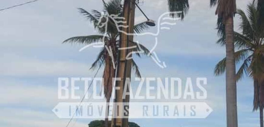 Extraordinária Fazenda 1200 hectares Lavoura, Pecuária e Eucalípto | Região Diamantina/ MG