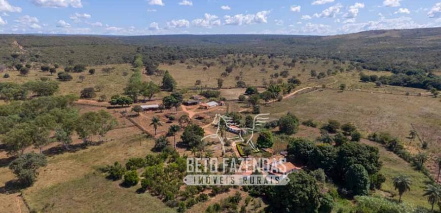 Extraordinária Fazenda 1200 hectares Lavoura, Pecuária e Eucalípto | Região Diamantina/ MG