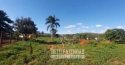 Extraordinária Fazenda 1200 hectares Lavoura, Pecuária e Eucalípto | Região Diamantina/ MG