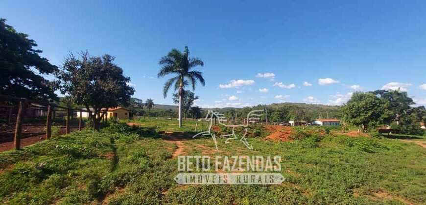 Extraordinária Fazenda 1200 hectares Lavoura, Pecuária e Eucalípto | Região Diamantina/ MG