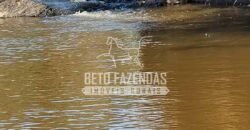 Extraordinária Fazenda 1200 hectares Lavoura, Pecuária e Eucalípto | Região Diamantina/ MG