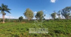 Extraordinária Fazenda 1200 hectares Lavoura, Pecuária e Eucalípto | Região Diamantina/ MG