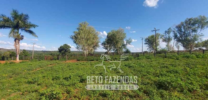 Extraordinária Fazenda 1200 hectares Lavoura, Pecuária e Eucalípto | Região Diamantina/ MG