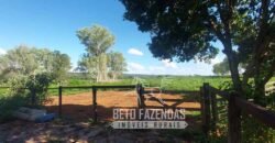 Extraordinária Fazenda 1200 hectares Lavoura, Pecuária e Eucalípto | Região Diamantina/ MG