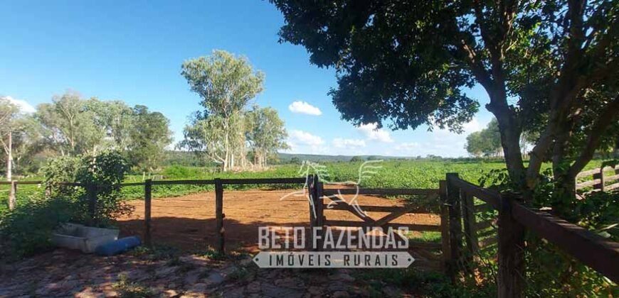 Extraordinária Fazenda 1200 hectares Lavoura, Pecuária e Eucalípto | Região Diamantina/ MG