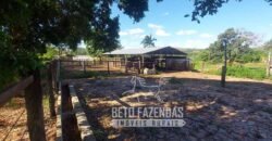 Extraordinária Fazenda 1200 hectares Lavoura, Pecuária e Eucalípto | Região Diamantina/ MG