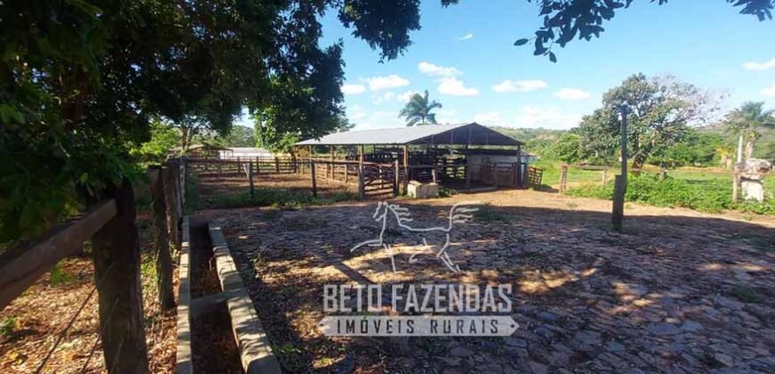 Extraordinária Fazenda 1200 hectares Lavoura, Pecuária e Eucalípto | Região Diamantina/ MG