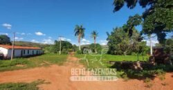 Extraordinária Fazenda 1200 hectares Lavoura, Pecuária e Eucalípto | Região Diamantina/ MG