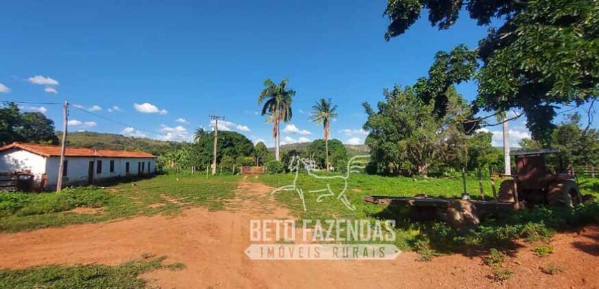Extraordinária Fazenda 1200 hectares Lavoura, Pecuária e Eucalípto | Região Diamantina/ MG