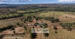 Extraordinária Fazenda 1200 hectares Lavoura, Pecuária e Eucalípto | Região Diamantina/ MG