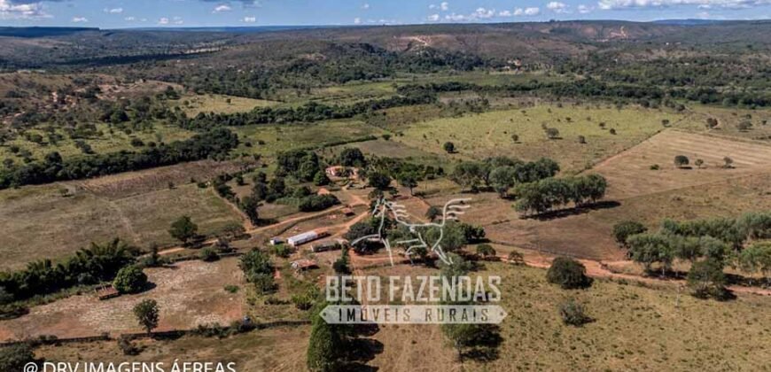 Extraordinária Fazenda 1200 hectares Lavoura, Pecuária e Eucalípto | Região Diamantina/ MG