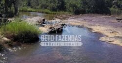 Extraordinária Fazenda 1200 hectares Lavoura, Pecuária e Eucalípto | Região Diamantina/ MG
