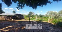 Extraordinária Fazenda 1200 hectares Lavoura, Pecuária e Eucalípto | Região Diamantina/ MG