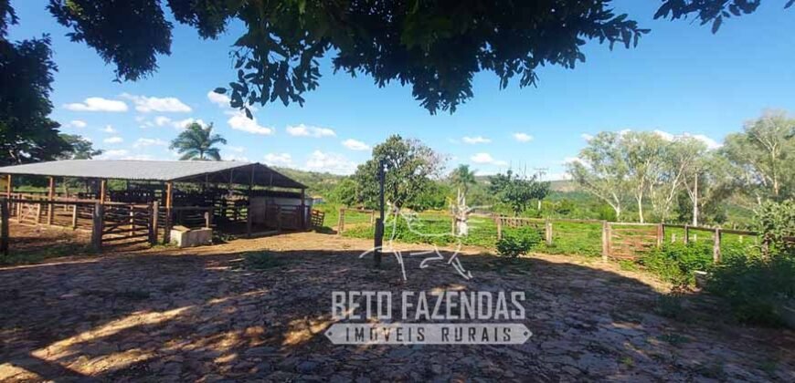 Extraordinária Fazenda 1200 hectares Lavoura, Pecuária e Eucalípto | Região Diamantina/ MG