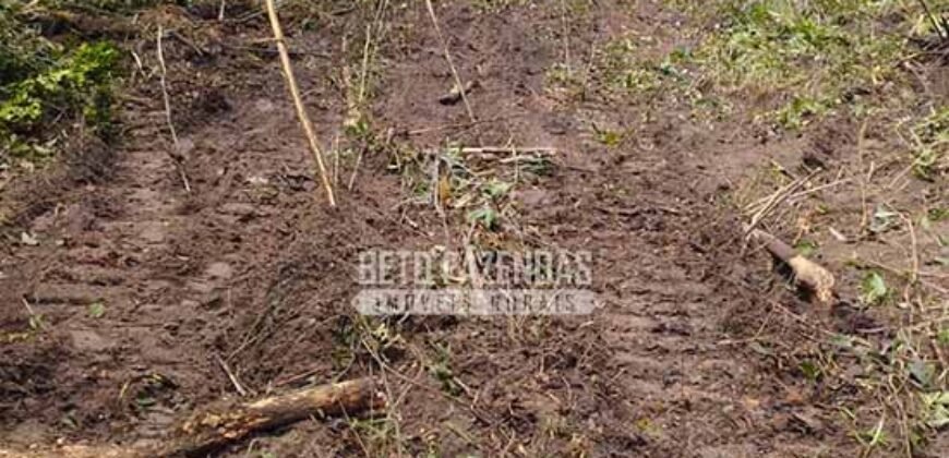 Fazenda à Venda 20.837 hectares Ideal para Agricultura | Urbano Santos/ MA