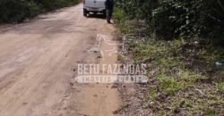 Fazenda à Venda 20.837 hectares Ideal para Agricultura | Urbano Santos/ MA