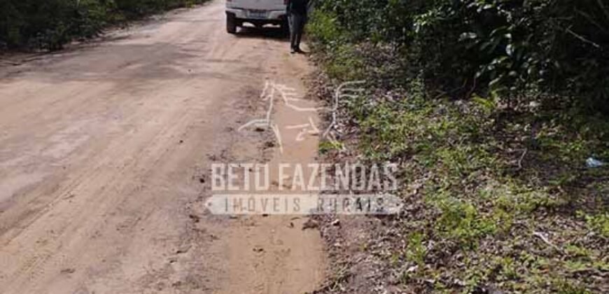 Fazenda à Venda 20.837 hectares Ideal para Agricultura | Urbano Santos/ MA