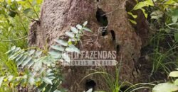 Fazenda à Venda 20.837 hectares Ideal para Agricultura | Urbano Santos/ MA