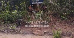 Fazenda à Venda 20.837 hectares Ideal para Agricultura | Urbano Santos/ MA