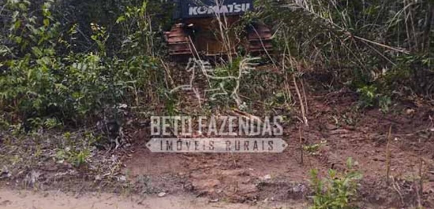 Fazenda à Venda 20.837 hectares Ideal para Agricultura | Urbano Santos/ MA