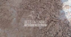 Fazenda à Venda 20.837 hectares Ideal para Agricultura | Urbano Santos/ MA