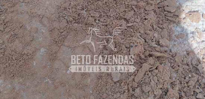 Fazenda à Venda 20.837 hectares Ideal para Agricultura | Urbano Santos/ MA