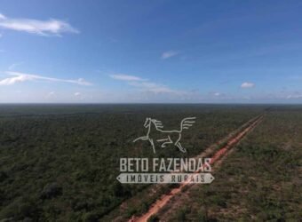 Fazenda à Venda 20.837 hectares Ideal para Agricultura | Urbano Santos/ MA