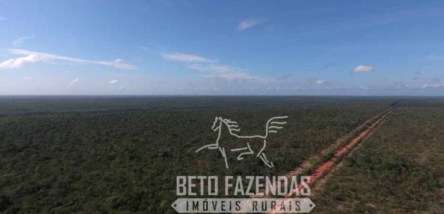 Fazenda à Venda 20.837 hectares Ideal para Agricultura | Urbano Santos/ MA