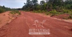 Fazenda à Venda 20.837 hectares Ideal para Agricultura | Urbano Santos/ MA