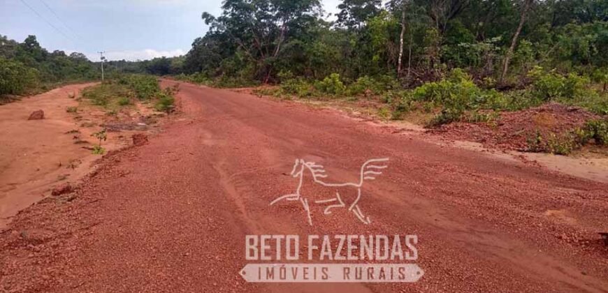 Fazenda à Venda 20.837 hectares Ideal para Agricultura | Urbano Santos/ MA