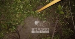 Fazenda à Venda 20.837 hectares Ideal para Agricultura | Urbano Santos/ MA