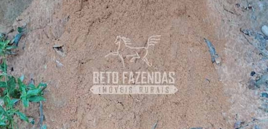 Fazenda à Venda 20.837 hectares Ideal para Agricultura | Urbano Santos/ MA