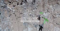 Fazenda à Venda 20.837 hectares Ideal para Agricultura | Urbano Santos/ MA