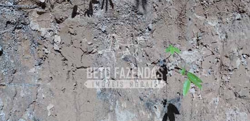 Fazenda à Venda 20.837 hectares Ideal para Agricultura | Urbano Santos/ MA