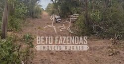 Fazenda à Venda 20.837 hectares Ideal para Agricultura | Urbano Santos/ MA