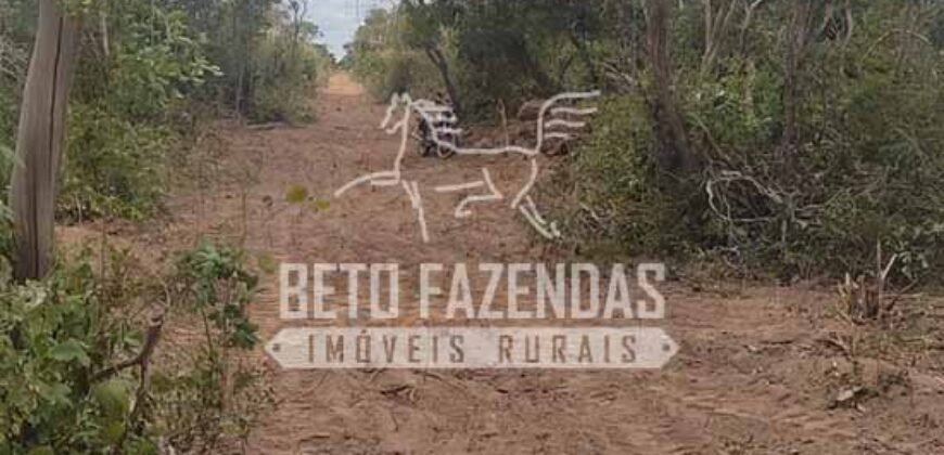 Fazenda à Venda 20.837 hectares Ideal para Agricultura | Urbano Santos/ MA