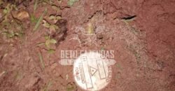 Fazenda à Venda 20.837 hectares Ideal para Agricultura | Urbano Santos/ MA