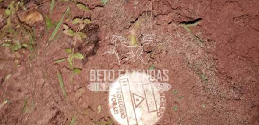 Fazenda à Venda 20.837 hectares Ideal para Agricultura | Urbano Santos/ MA