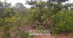 Fazenda à Venda 20.837 hectares Ideal para Agricultura | Urbano Santos/ MA