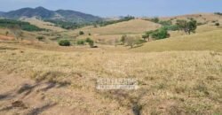 Excelente Fazenda à Venda 417 hectares para Pecuária Ótima Localização | Jacutinga/ MG Excelente Fazenda à Venda 417 hectares para Pecuária Ótima Localização | Jacutinga/ MG