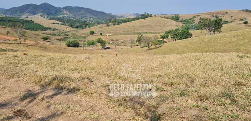 Excelente Fazenda à Venda 417 hectares para Pecuária Ótima Localização | Jacutinga/ MG Excelente Fazenda à Venda 417 hectares para Pecuária Ótima Localização | Jacutinga/ MG