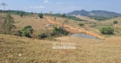 Excelente Fazenda à Venda 417 hectares para Pecuária Ótima Localização | Jacutinga/ MG Excelente Fazenda à Venda 417 hectares para Pecuária Ótima Localização | Jacutinga/ MG