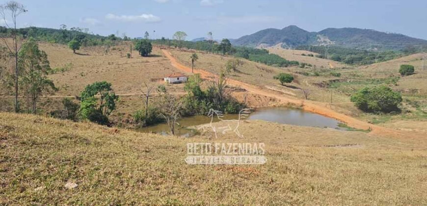 Excelente Fazenda à Venda 417 hectares para Pecuária Ótima Localização | Jacutinga/ MG Excelente Fazenda à Venda 417 hectares para Pecuária Ótima Localização | Jacutinga/ MG