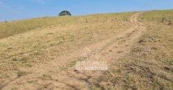 Excelente Fazenda à Venda 417 hectares para Pecuária Ótima Localização | Jacutinga/ MG Excelente Fazenda à Venda 417 hectares para Pecuária Ótima Localização | Jacutinga/ MG