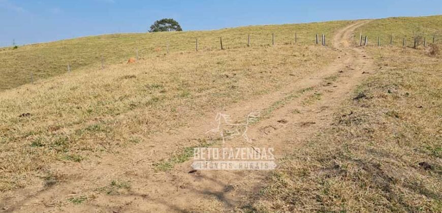Excelente Fazenda à Venda 417 hectares para Pecuária Ótima Localização | Jacutinga/ MG Excelente Fazenda à Venda 417 hectares para Pecuária Ótima Localização | Jacutinga/ MG